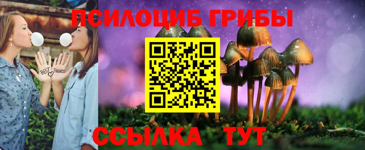 Галлюциногенные грибы мухоморы Саратов